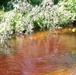 Scenes of Pine View Recreation Area at Fort McCoy