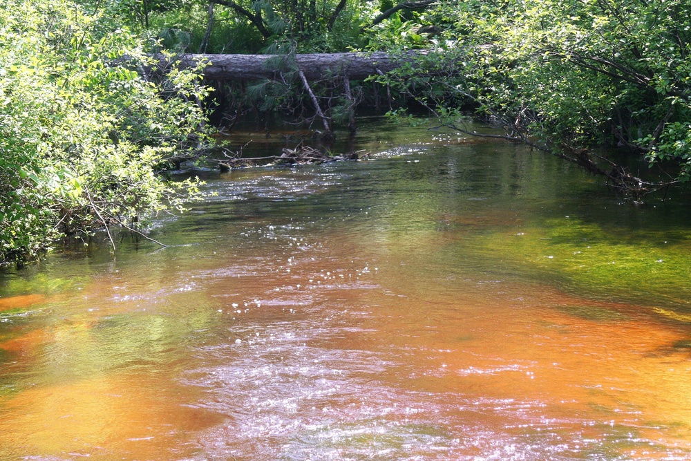 Scenes of Pine View Recreation Area at Fort McCoy