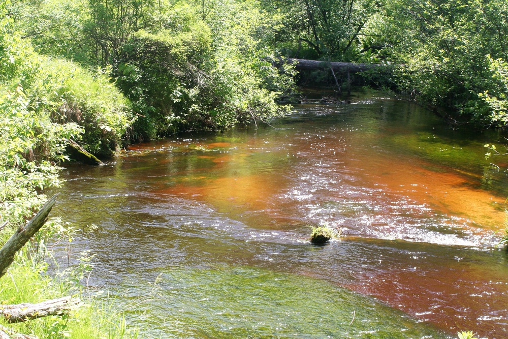 Scenes of Pine View Recreation Area at Fort McCoy