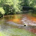 Scenes of Pine View Recreation Area at Fort McCoy