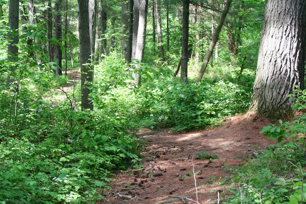 Scenes of Pine View Recreation Area at Fort McCoy