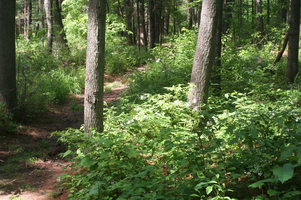 Scenes of Pine View Recreation Area at Fort McCoy