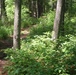 Scenes of Pine View Recreation Area at Fort McCoy