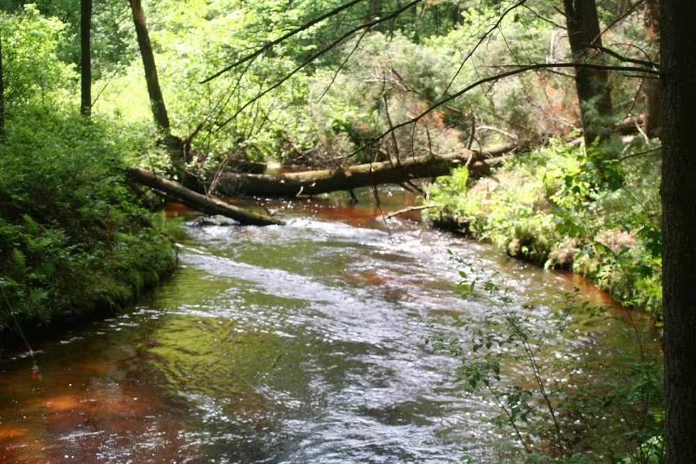 Scenes of Pine View Recreation Area at Fort McCoy