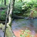 Scenes of Pine View Recreation Area at Fort McCoy