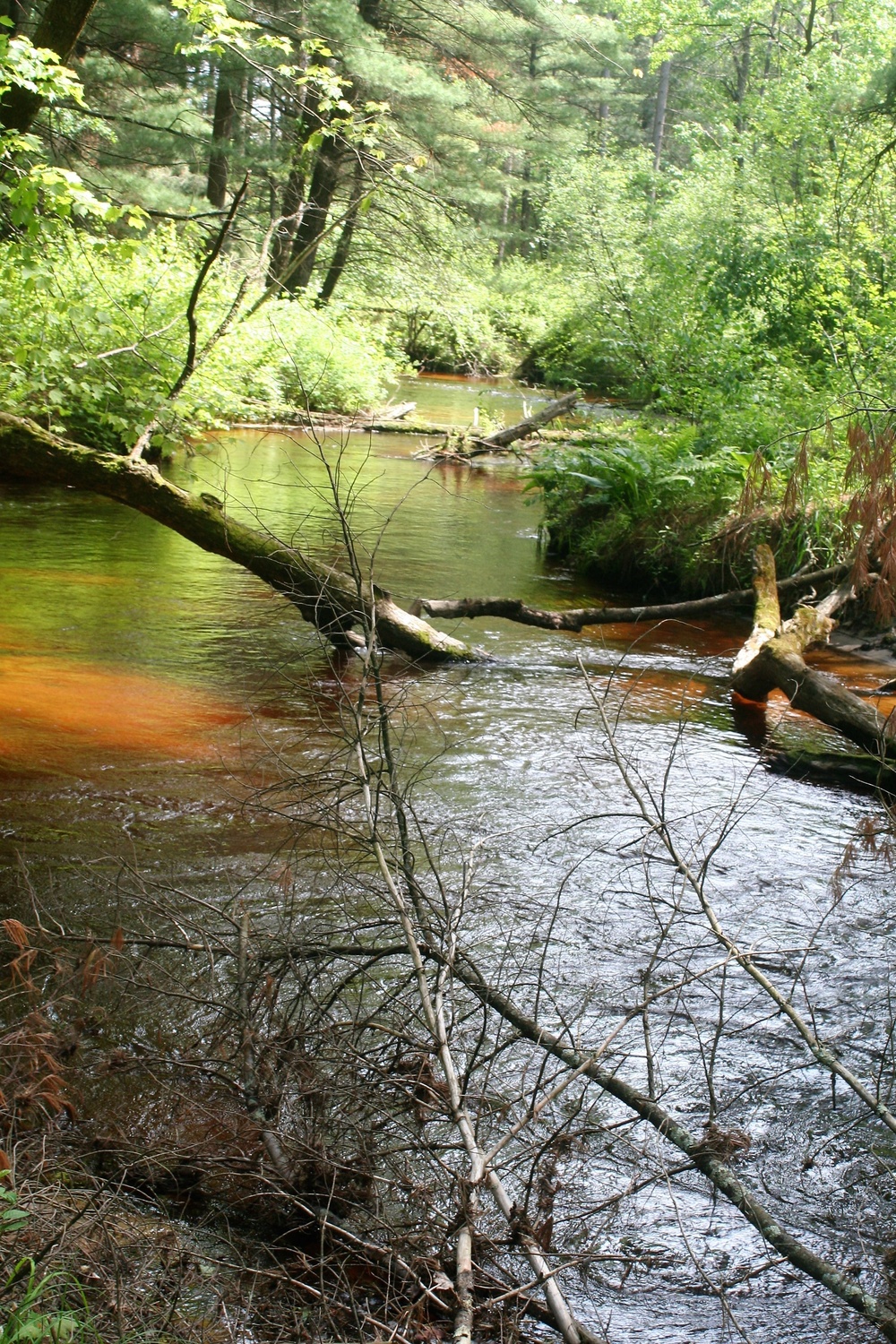 Scenes of Pine View Recreation Area at Fort McCoy