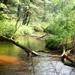 Scenes of Pine View Recreation Area at Fort McCoy