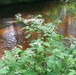 Scenes of Pine View Recreation Area at Fort McCoy