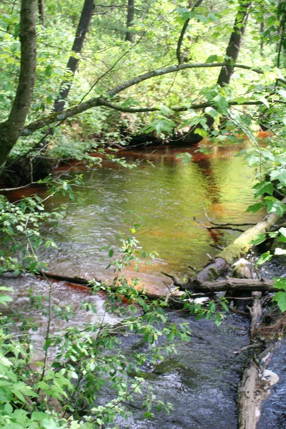 Scenes of Pine View Recreation Area at Fort McCoy