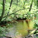 Scenes of Pine View Recreation Area at Fort McCoy