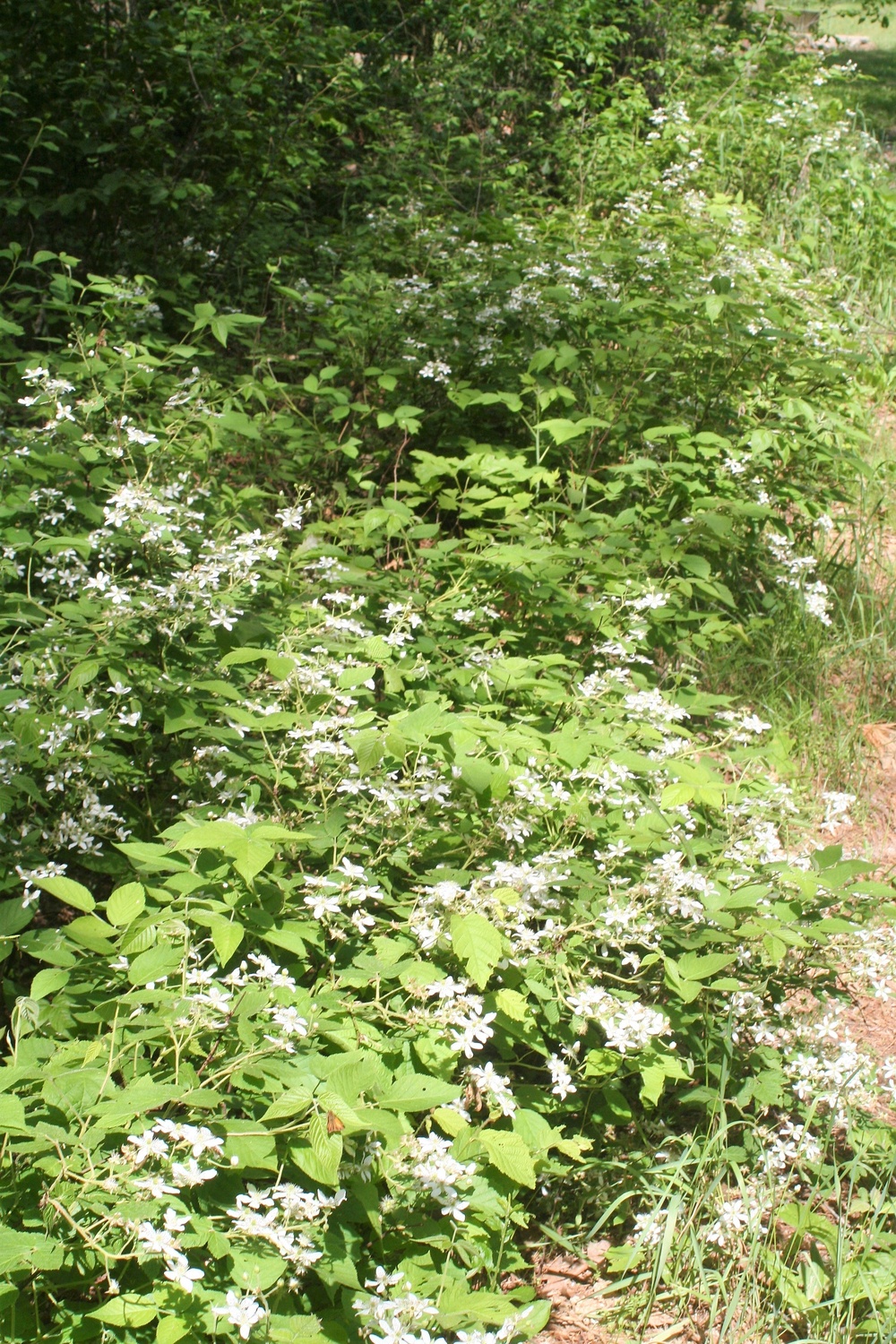 Scenes of Pine View Recreation Area at Fort McCoy