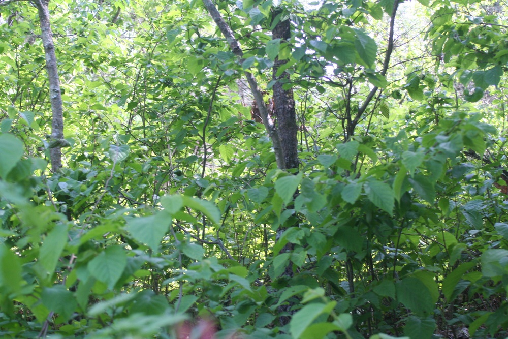 Scenes of Pine View Recreation Area at Fort McCoy