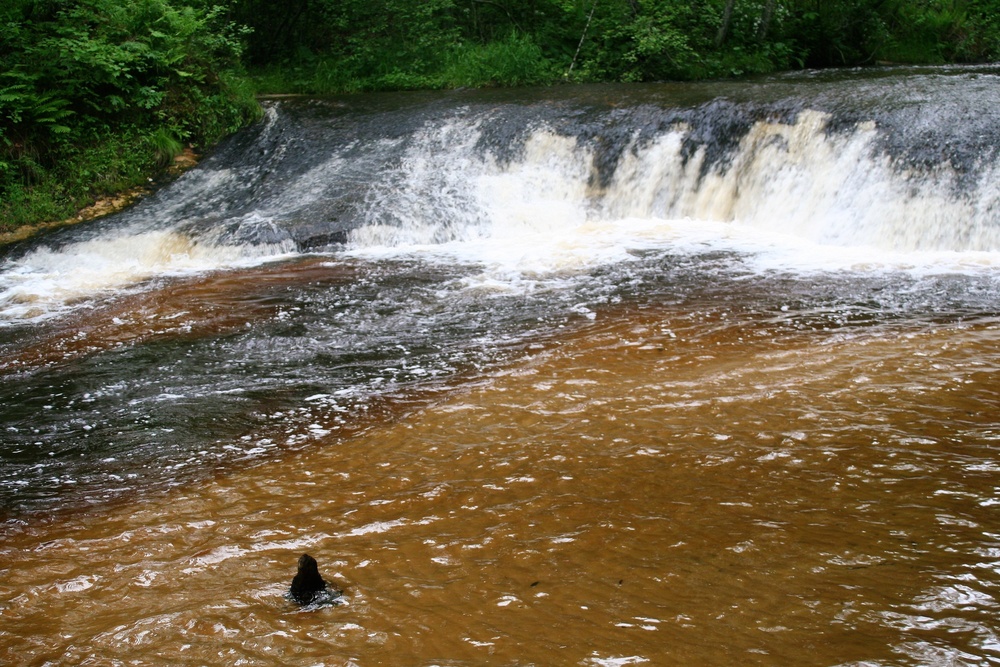 Scenes of Pine View Recreation Area at Fort McCoy