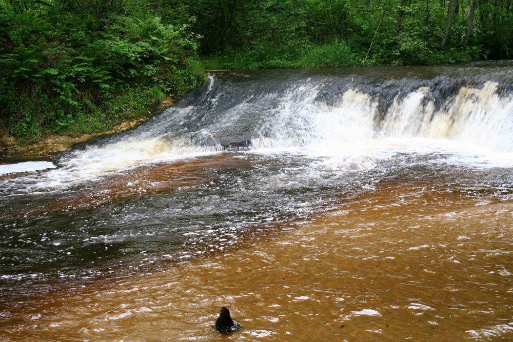 Scenes of Pine View Recreation Area at Fort McCoy