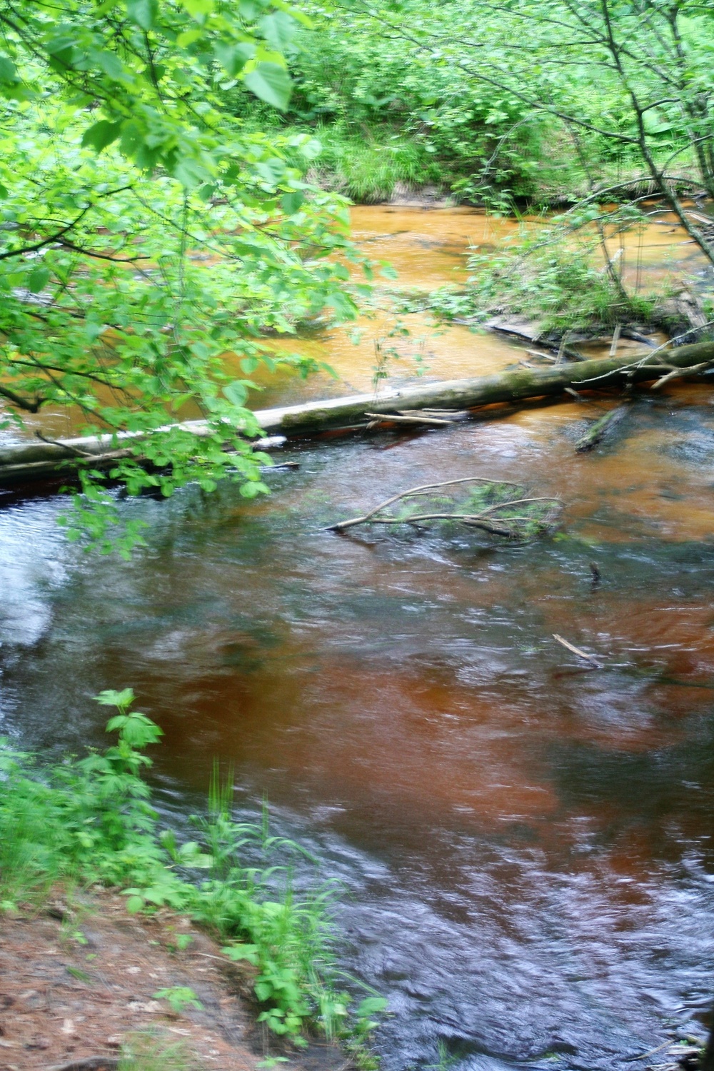 Scenes of Pine View Recreation Area at Fort McCoy