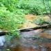 Scenes of Pine View Recreation Area at Fort McCoy