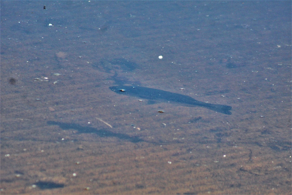 Sandy Lake Fishing and Recreation Area at Fort McCoy