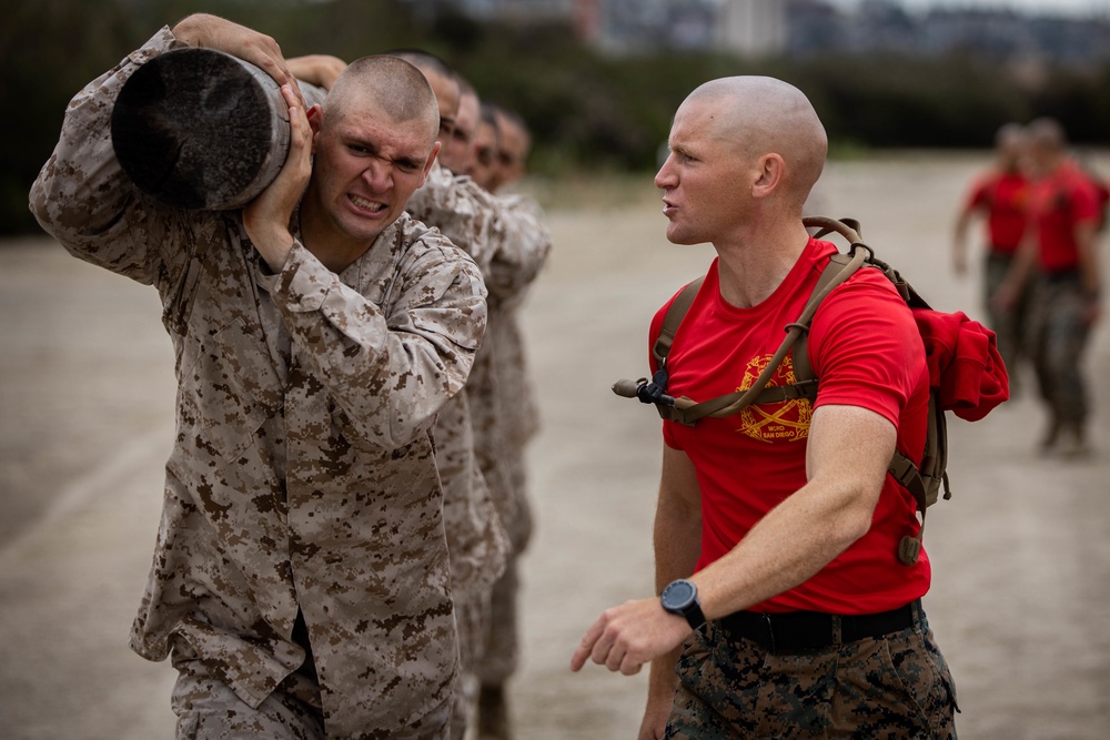 Delta Company Log Drills