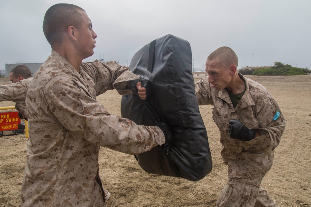 Mike Company Confidence Course