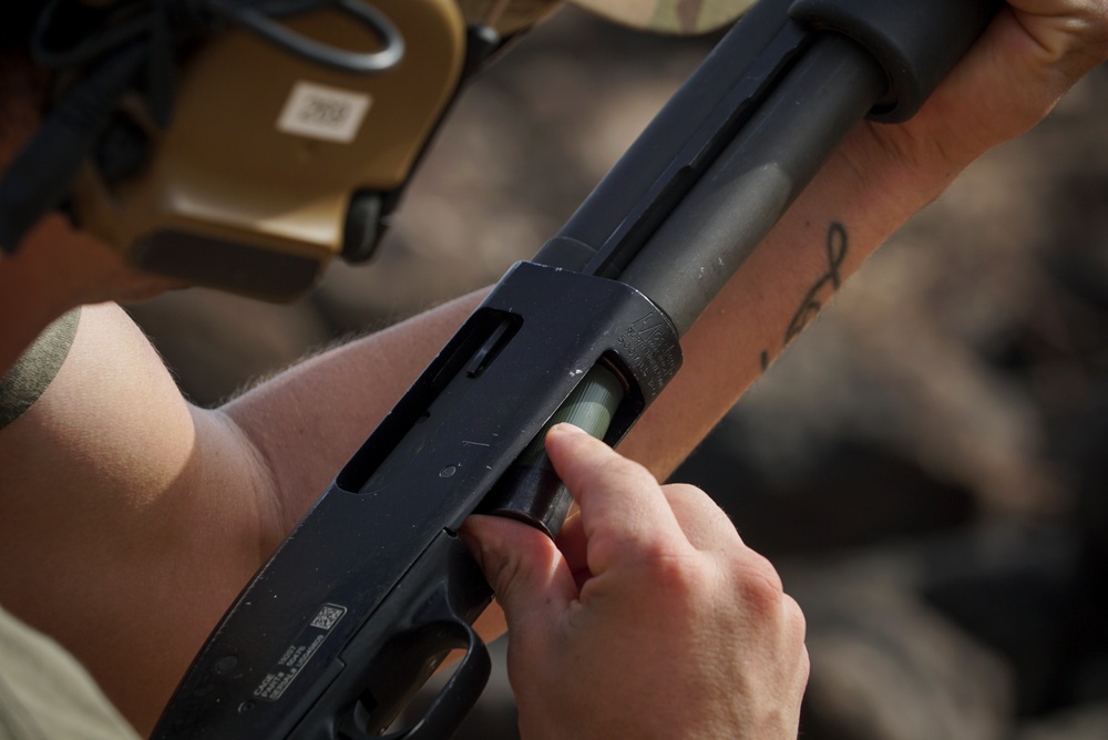 Task Force Guardian commence final Range Day