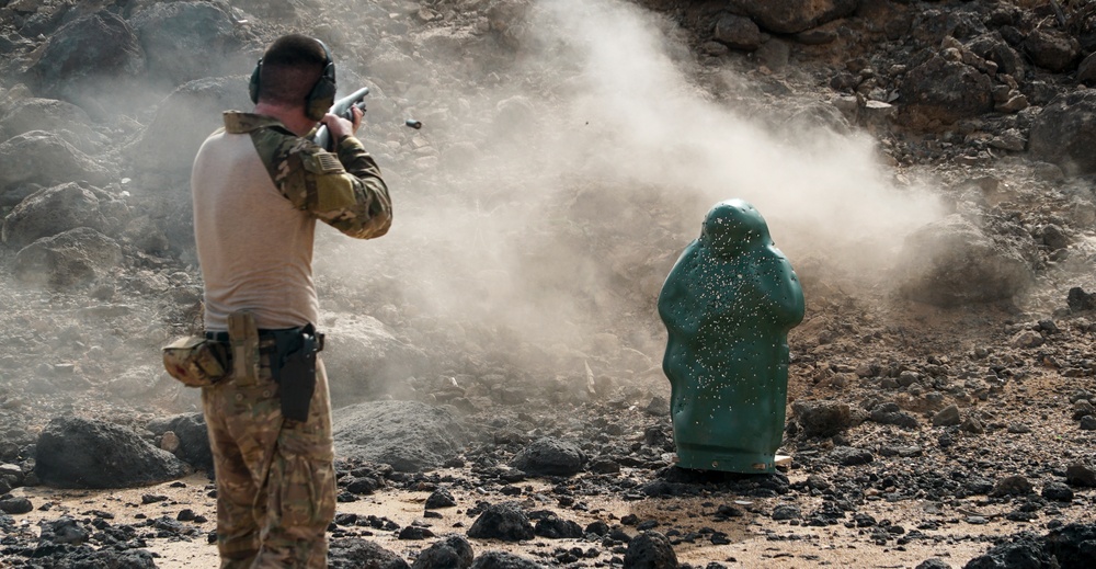 Task Force Guardian commence final Range Day