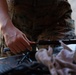 Spray, Scrub, Repeat - U.S. Marines prepare weapons for exercises