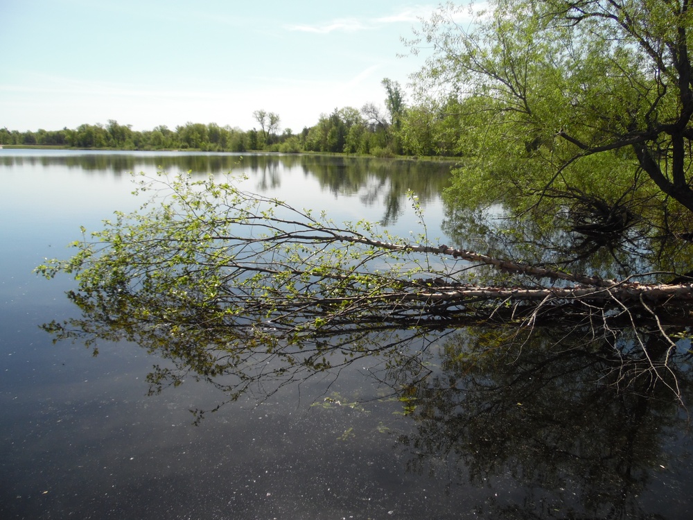 Big Sandy Lake Fishing and Recreation Area at Fort McCoy