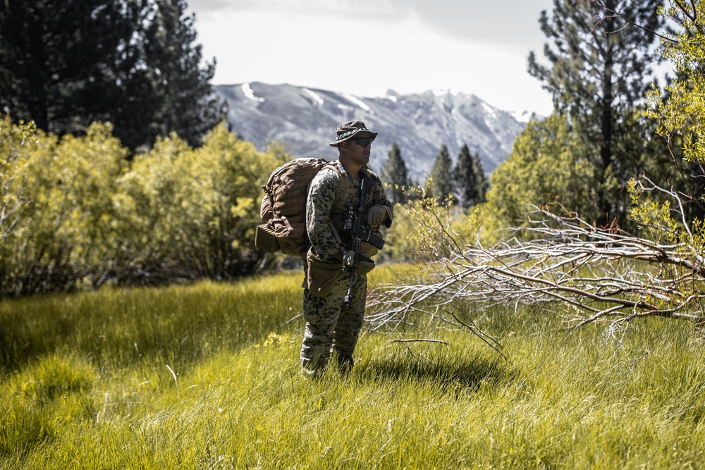 Masters of the Mountain