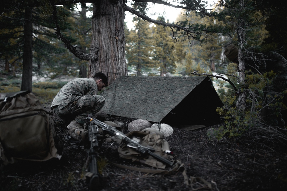 A Long Night on the Mountain