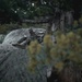 A Long Night on the Mountain