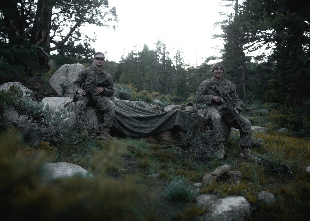 A Long Night on the Mountain
