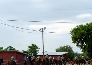 Wagonmaster Staff Ride