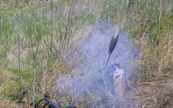 IULC: Building infantry platoon sergeants