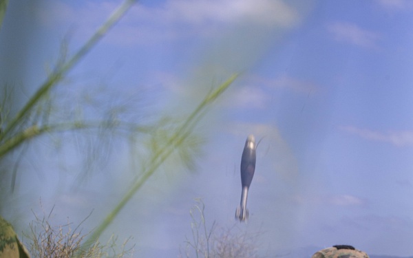 IULC: Building infantry platoon sergeants