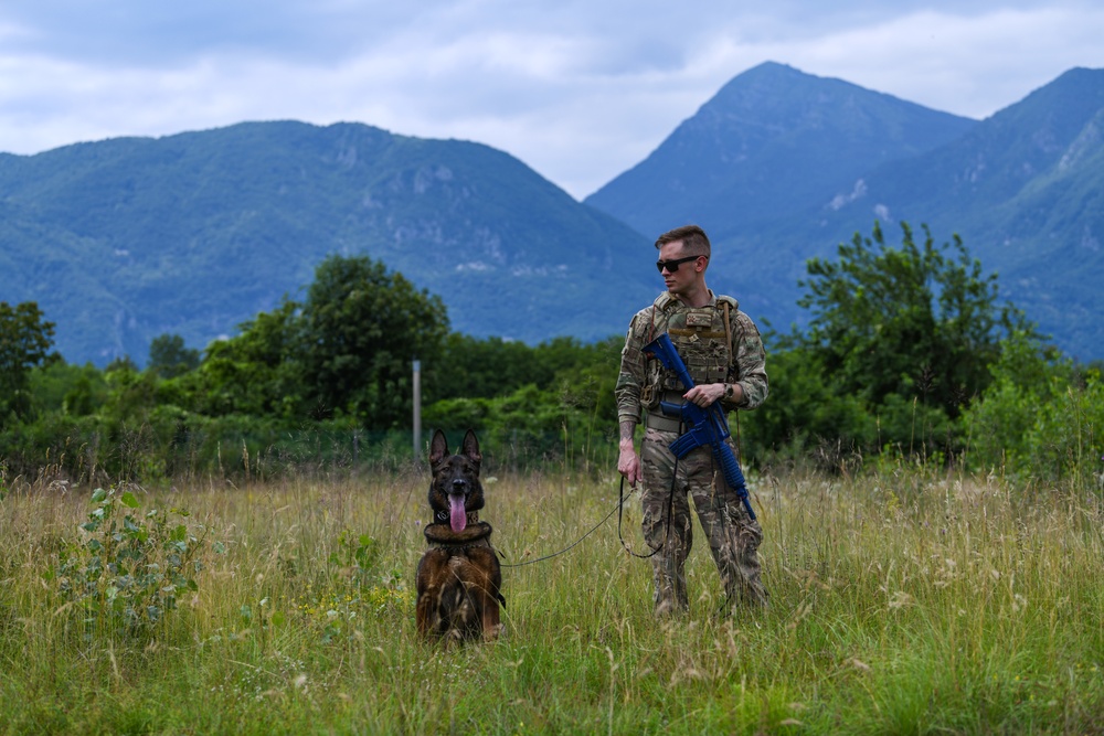 31st Fighter Wing conducts Operation Porcupine 2020