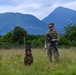 31st Fighter Wing conducts Operation Porcupine 2020