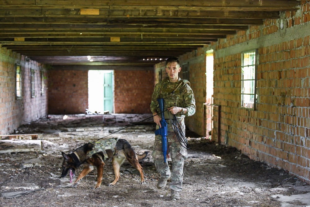 31st Fighter Wing conducts Operation Porcupine 2020