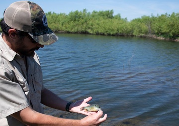 Base fishing pond supports new wildlife, open for families