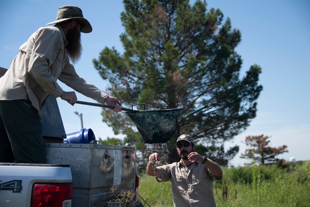 Base fishing pond supports new wildlife, open for families