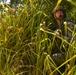 25th Air Support Operations Squadron conducts field training with the 535th Airlift Squadron