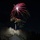 A nighttime photograph captures a fireworks display over Mount Rushmore National Memorial in South Dakota. The illuminated granite sculpture featuring four U.S. presidents is visible in the lower portion of the frame, while multiple colorful fireworks burst above in red, green, gold, and white. The scene strongly suggests a patriotic celebration, most likely Independence Day (July 4th).