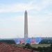 Salute to America 2020