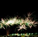 Garrison celebrates nation’s independence with drive-in fireworks event