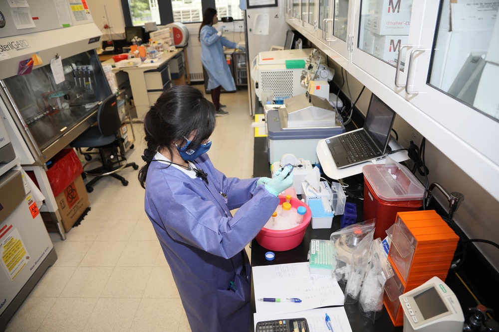 WRAIR's Emerging Infectious Diseaese Branch Studies Coronavirus protein samples