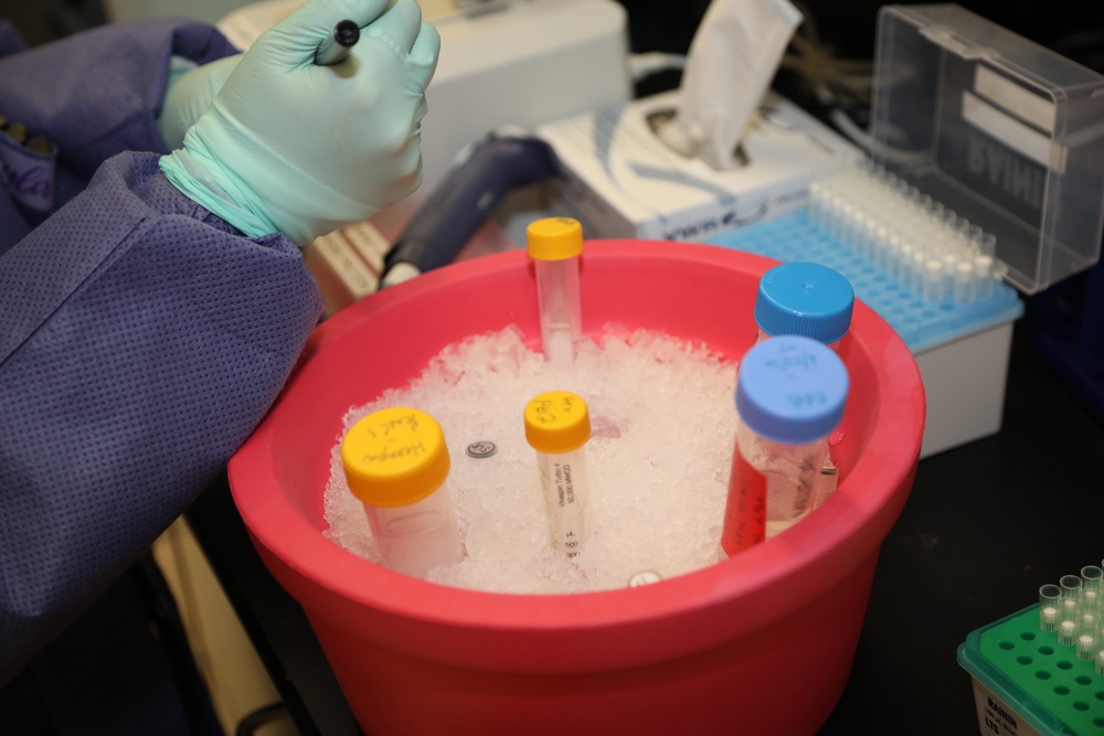 WRAIR's Emerging Infectious Diseaese Branch Studies Coronavirus protein samples