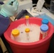 WRAIR's Emerging Infectious Diseaese Branch Studies Coronavirus protein samples
