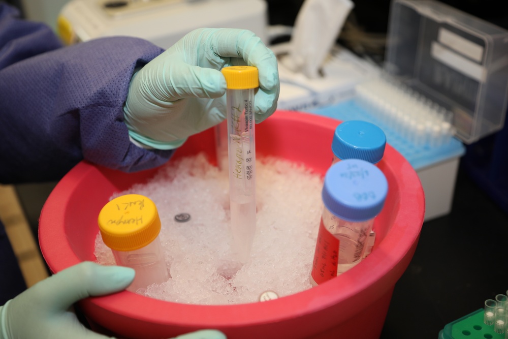 WRAIR's Emerging Infectious Diseaese Branch Studies Coronavirus protein samples