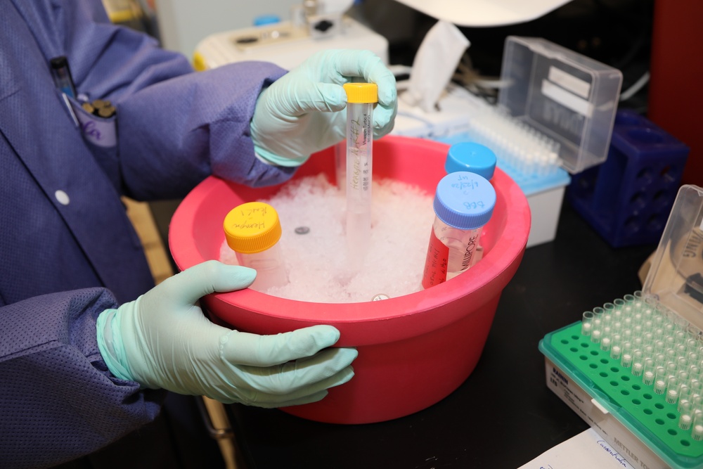 WRAIR's Emerging Infectious Diseaese Branch Studies Coronavirus protein samples