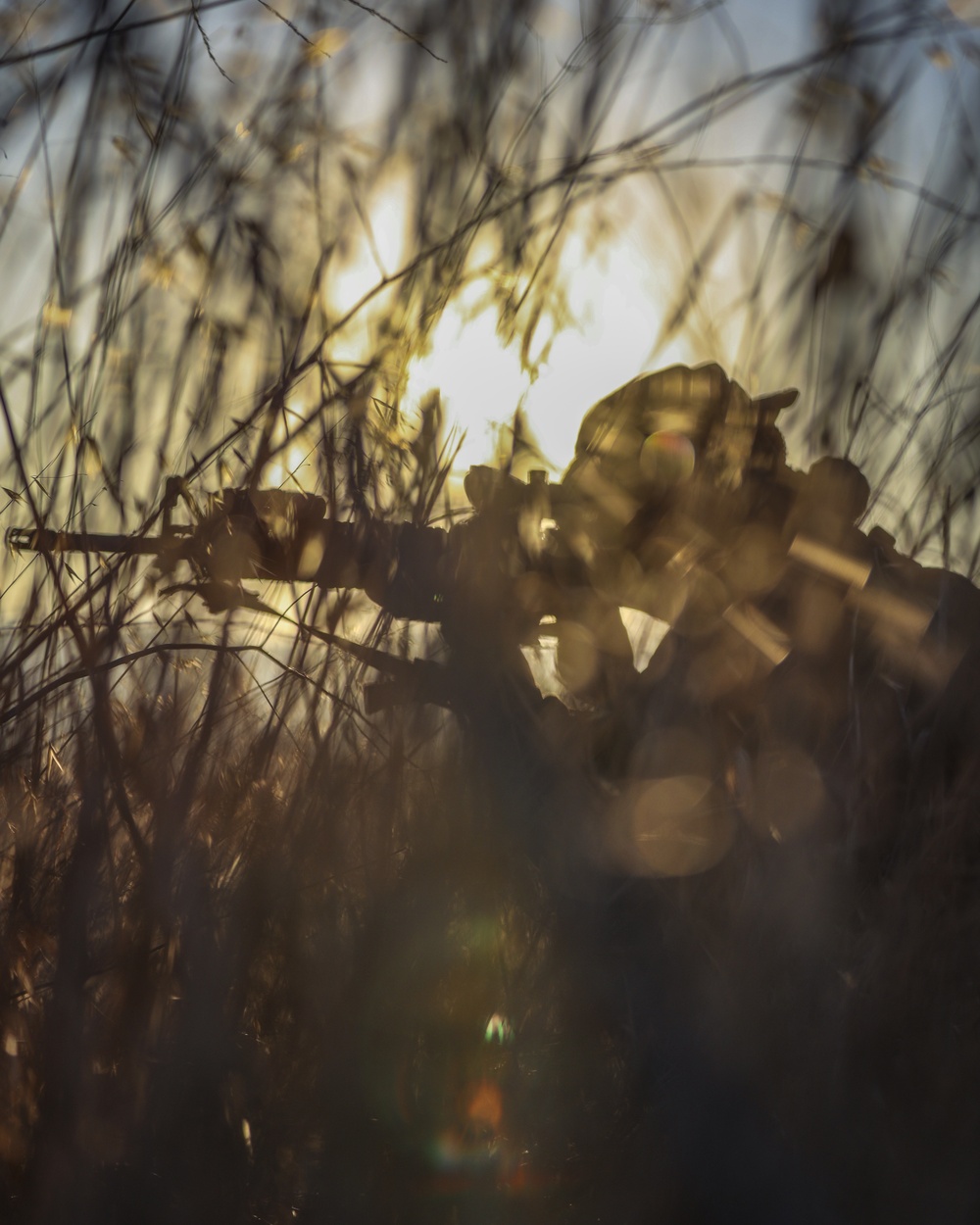 Marines with 1st Intel Bn. Conduct Field Exercise