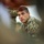 Marines with 1st Intel Bn. Conduct Field Exercise Marines with 1st Intel Bn. Conduct Field Exercise